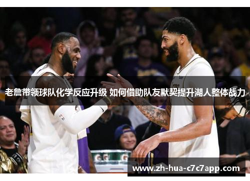 老詹带领球队化学反应升级 如何借助队友默契提升湖人整体战力 老詹带领球队化学反应升级 如何借助队友默契提升湖人整体战力