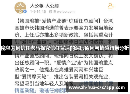 魔鸟为何信任老马探究信任背后的深层原因与情感纽带分析 魔鸟为何信任老马探究信任背后的深层原因与情感纽带分析